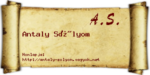 Antaly Sólyom névjegykártya